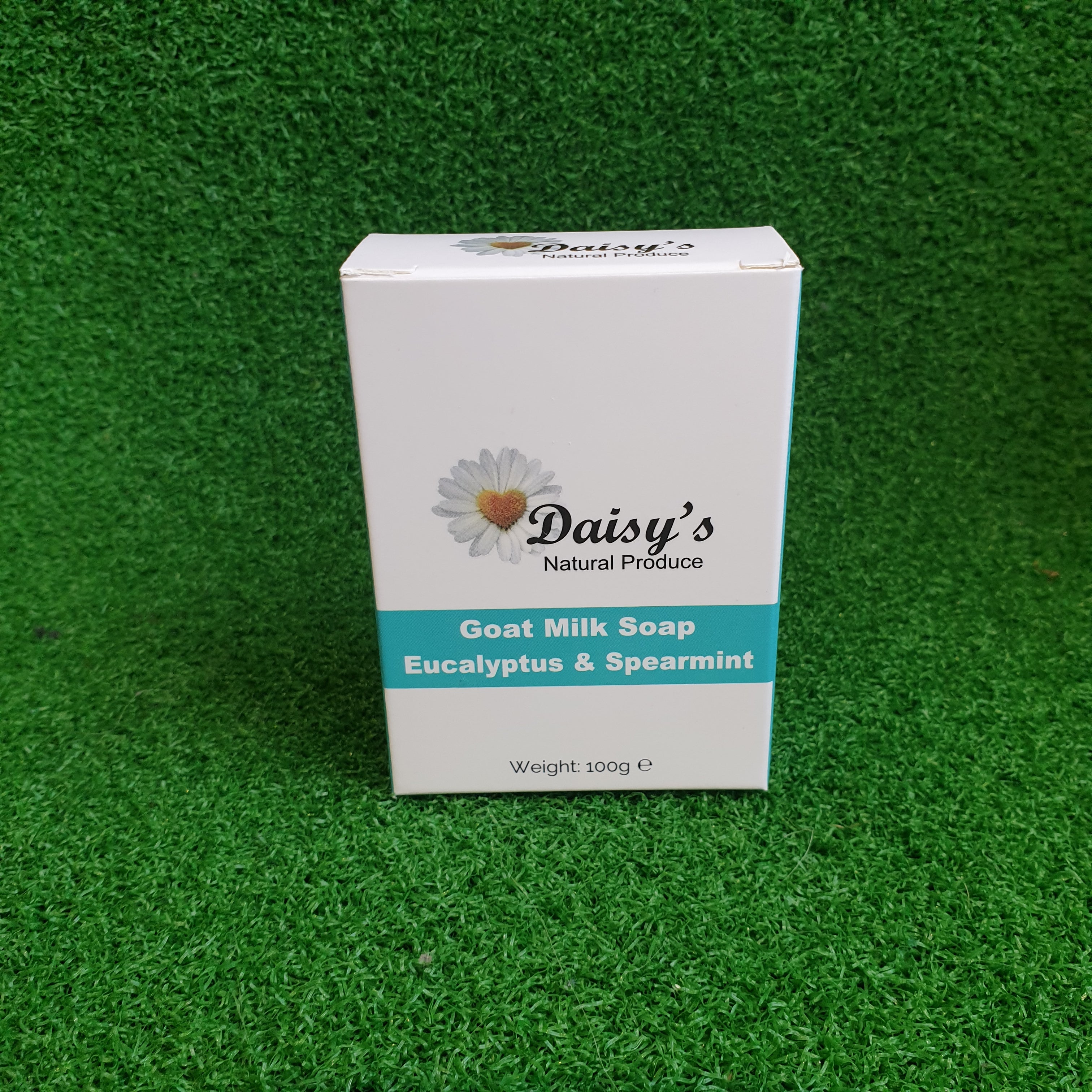 Eucalyptus Mint Goat Milk Soap – Eden Body Care